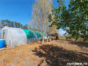 Teren intravilan agricol si teren curti constructii Lot 2 Parcela A326 49 - imagine 3