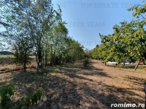 Teren intravilan agricol si teren curti constructii Lot 2 Parcela A326 49 - imagine 11