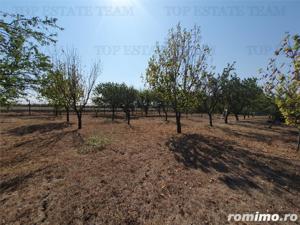 Teren intravilan agricol si teren curti constructii Lot 2 Parcela A326 49 - imagine 2