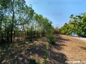 Teren intravilan agricol si teren curti constructii Lot 2 Parcela A326 49 - imagine 14