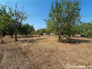 Teren intravilan agricol si teren curti constructii Lot 2 Parcela A326 49 - imagine 9