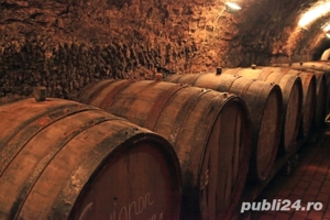 Ciubar pentru Vin - 1500 L - imagine 3