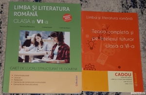 Manuale Culegeri clasa a VI-a - imagine 2