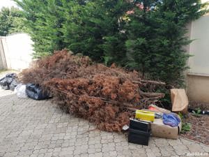 Curatam gradini si taiem iarba ,si va luam tot gunoiul ce il aveti !