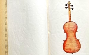Vioara, 3 Referinte - imagine 6