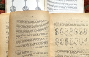 Vioara, 3 Referinte - imagine 10