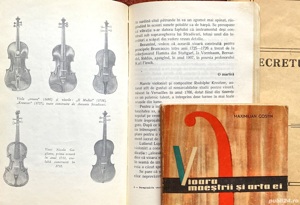 Vioara, 3 Referinte - imagine 3