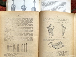 Vioara, 3 Referinte - imagine 7