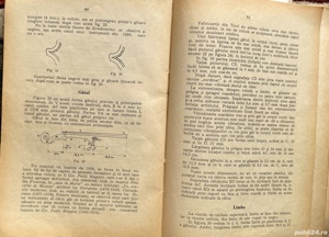 Vioara, 3 Referinte - imagine 9