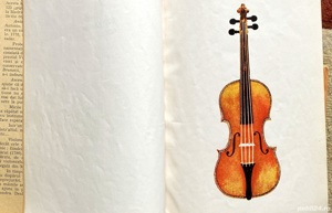 Vioara, 3 Referinte - imagine 4