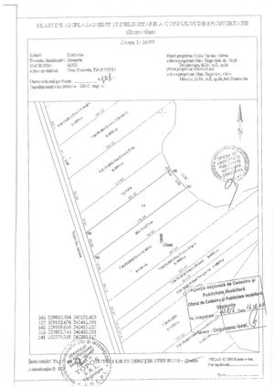 Teren intravilan,direct proprietar,4751m,6248m,6650m,9925mp, 9517mp 5 euro mp - imagine 3