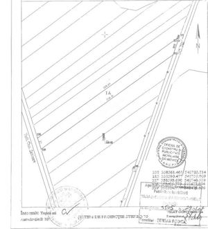 Teren intravilan,direct proprietar,4751m,6248m,6650m,9925mp, 9517mp 5 euro mp - imagine 4