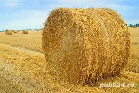 Baloti mari rotunzi 160 120 de paie calitate foarte buna 