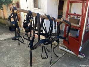 Hamuri pentru cai frizieni  - imagine 3