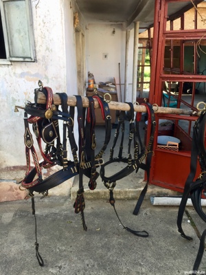 Hamuri pentru cai frizieni  - imagine 2