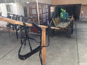 Hamuri pentru cai frizieni  - imagine 5