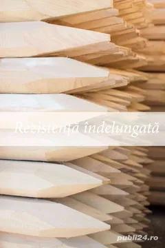 Araci ortogonali salcam - imagine 2