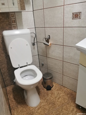 Casa de vanzare cu 2 apartamente și 1 garsoniera - imagine 10