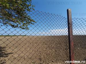 Teren intravilan agricol si teren curti constructii Lot 2 Parcela A326 49 - imagine 17