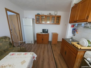 Apartament 1 camera, CT, izolat, renovat, mobilat - imagine 2