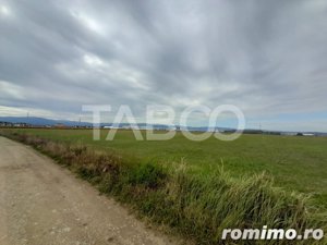 Teren intravilan 8.000 mp 2 fronturi de 35 m fiecare Turnisor Sibiu - imagine 5