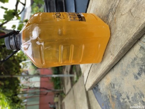 Vând vin   nou si vechi (nobil)de Cotnari  alb - imagine 2