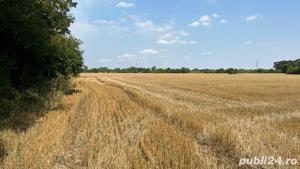 Proprietar vând teren 4.800 mp Jilava, rezidențial, acces DN5 - imagine 7