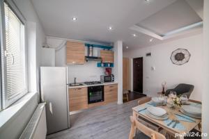 Închiriez în regim hotelier 5 apartamente moderne, Baia Mare - imagine 10