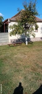 Proprietar, vand teren+casa in centrul loc. Sanandrei, jud. Timis - imagine 3