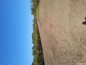 Servicii de spatii verzi/ defrisari terenuri - imagine 3