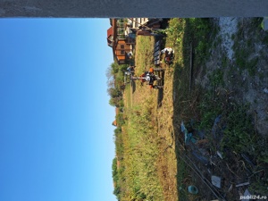 Servicii de spatii verzi/ defrisari terenuri - imagine 6