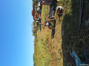 Servicii de spatii verzi/ defrisari terenuri - imagine 7