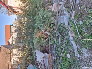 Servicii de spatii verzi/ defrisari terenuri - imagine 9