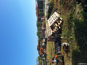 Servicii de spatii verzi/ defrisari terenuri - imagine 10