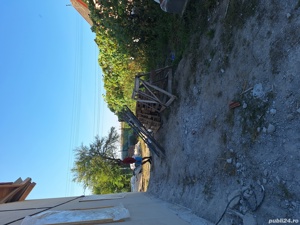 Servicii de spatii verzi/ defrisari terenuri - imagine 5