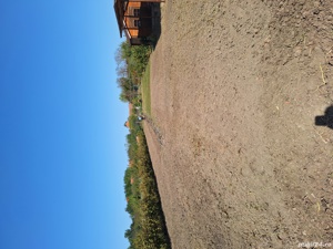 Servicii de spatii verzi/ defrisari terenuri