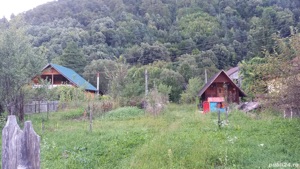 Teren de vanzare Brezoi, Pascoaia, Valcea - imagine 5