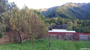 Teren de vanzare Brezoi, Pascoaia, Valcea - imagine 8