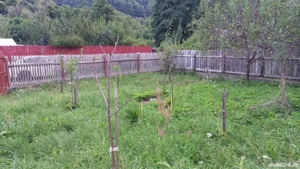 Teren de vanzare Brezoi, Pascoaia, Valcea - imagine 9
