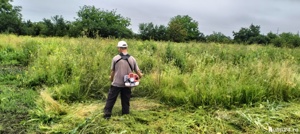 Defrisam gradini ,terenuri 