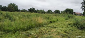 Defrisam grădini, curți, terenuri 