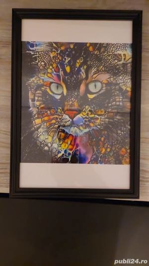 Tablou imagine pisica inramata