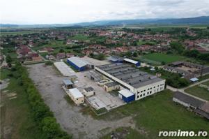 Proprietate industriala 5200mp cu 3,1 ha teren intravilan, in Miercurea Sibiului - imagine 2