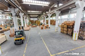 Proprietate industriala 5200mp cu 3,1 ha teren intravilan, in Miercurea Sibiului - imagine 13