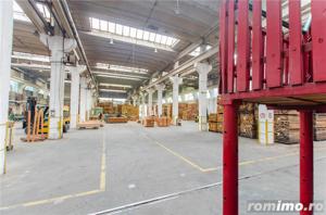 Proprietate industriala 5200mp cu 3,1 ha teren intravilan, in Miercurea Sibiului - imagine 17