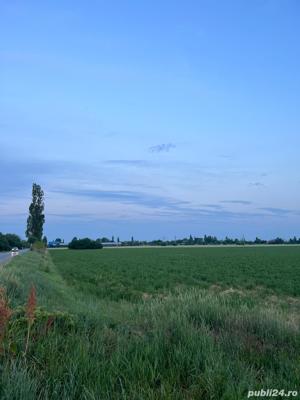 Teren 7500mp Prahova Albesti Paleologu - imagine 3