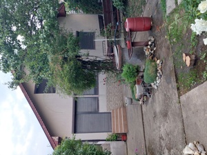 vand teren intravilan (livada si vie) - imagine 10