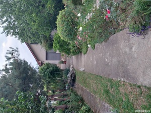 vand teren intravilan (livada si vie) - imagine 4