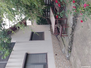 vand teren intravilan (livada si vie) - imagine 6