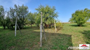 Teren intravilan in Decebal la sosea ( ID22785) - imagine 9